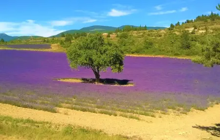 Location Maison 14 personnes à Saint Maurice sur Eygu - Photo 38