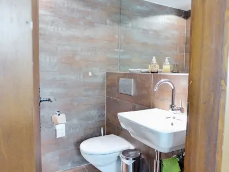 Enzian 720, Appartement 6 personnes à Beatenberg - Photo 12