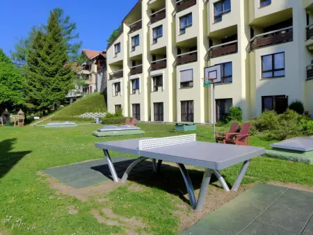 Enzian 720, Appartement 6 personnes à Beatenberg - Photo 30