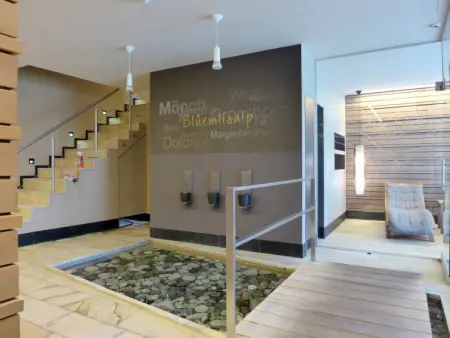 Enzian 720, Appartement 6 personnes à Beatenberg - Photo 31