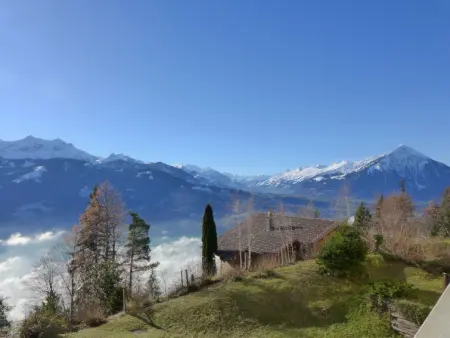 Enzian 720, Appartement 6 personnes à Beatenberg - Photo 34