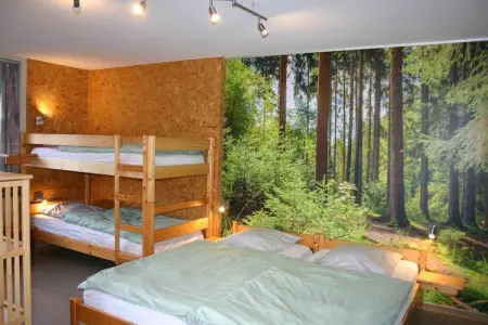 A la lisière de la forêt, Maison à Vielsalm avec sauna - Photo 5