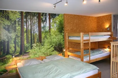 A la lisière de la forêt, Maison à Vielsalm avec sauna - Photo 7