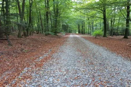 A la lisière de la forêt, Maison à Vielsalm avec sauna - Photo 28