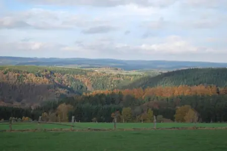 Jardin de l'Ourthe 22, Maison à Houffalize près de Nisramont - Photo 36