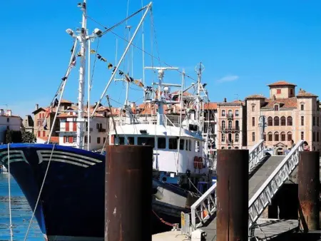 Appartement de caractère avec balcon et parking à 2 pas de la plage, centre historique de Saint-Jean-de-Luz - Photo 13