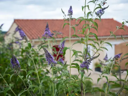 Gîte in Fossemagne,Maison tout confort au cœur du Périgord avec jardin, parking et Wi-Fi FR-1-616-262 N°849327