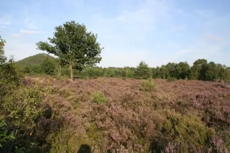 Het Bloesemklooster, Retraite monastique dans le Limbourg florissant - Photo 35