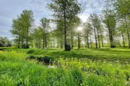 Het Bloesemklooster, Retraite monastique dans le Limbourg florissant - Photo 38