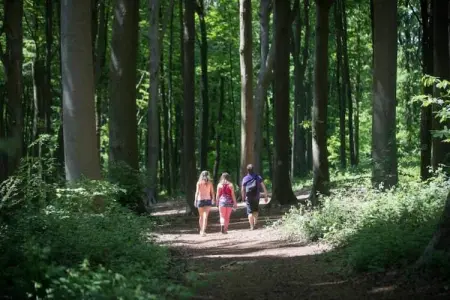 Het Bloesemklooster, Retraite monastique dans le Limbourg florissant - Photo 39
