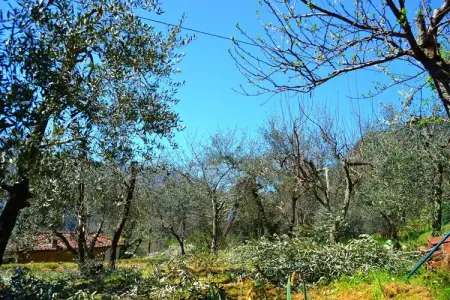 Brama Sole, Maison à Lucca avec Piscine et Vue sur Vallée - Photo 36