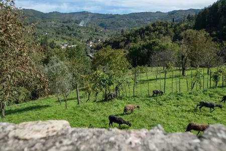 Castello di Argigliano 1, Maison toscane relaxante avec Wi-Fi - Photo 36