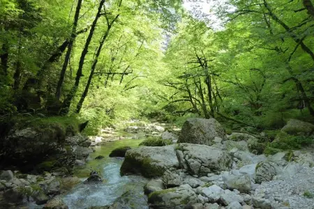 Costa di Gial, Chalet 5 personnes à Lamon (BL) - Photo 32