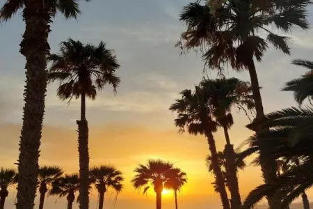 Home Holidays// apartamento Playa de las Amerícas - Photo 36