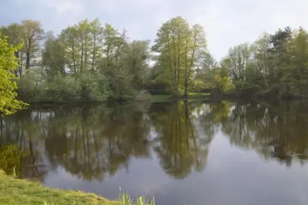 MobilHome Elegance 3 Chambres, Mobil Home 6 personnes à Chaumont sur Loire - Photo 39