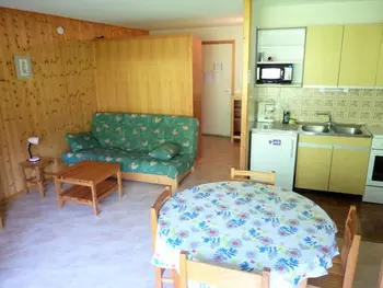 Appartement à Saint Jean d'Aulps,Studio pied des pistes avec piscine FR-1-573-86 N°896141