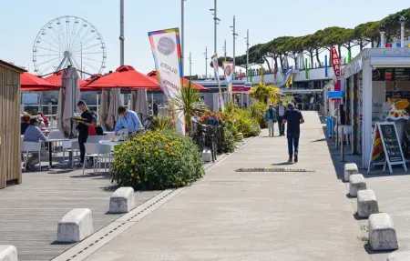 Location Appartement 4 personnes à Vaux sur Mer - Photo 14