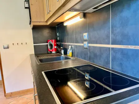 Appartement T2 avec terrasse et animaux acceptés à Samoëns - Photo 5