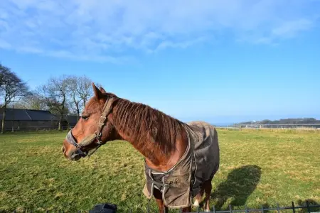 Gite des 3 Mathildes 6 pers, Maison de vacances avec vue sur la mer à Étretat - Photo 20