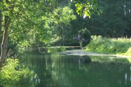 Gite des 3 Mathildes 6 pers, Maison de vacances avec vue sur la mer à Étretat - Photo 29
