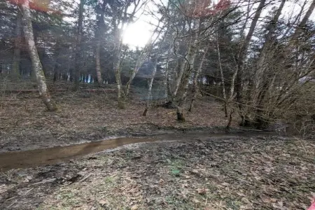 L'Aimant, Maison à Somme-Leuze avec Sauna - Photo 39