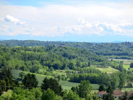Agriturismo I Tre Tigli, Maison 6 personnes à Asti - Photo 33