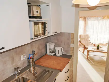 Nid d'aigle E1, Appartement 4 personnes à Nendaz - Photo 8