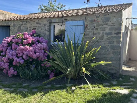 Charmante maison rénovée avec goût, jardin clos, accès wifi, proche commerces et mer. - Photo 14