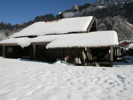 Chalet Bifigen, Appartement 4 personnes à Kandergrund - Photo 11