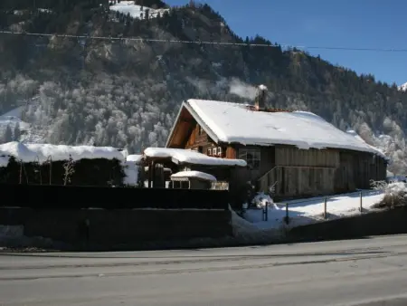 Chalet Bifigen, Appartement 4 personnes à Kandergrund - Photo 12