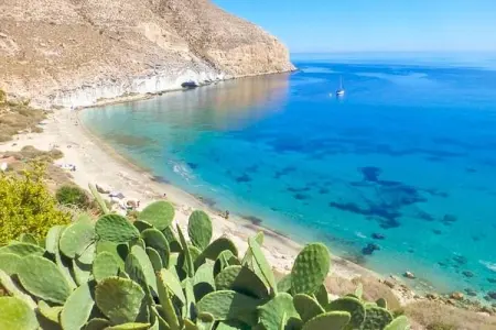Apartamento 1º con terraza, Appartement 5 personnes à Vera Playa - Photo 40