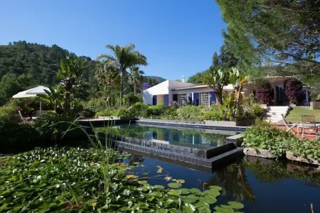 Villa Foz do Banho, Villa avec Jardin Oasis à Monchique - Photo 11