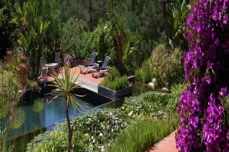 Villa Foz do Banho, Villa avec Jardin Oasis à Monchique - Photo 29