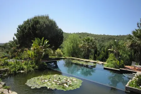 Villa Foz do Banho, Villa avec Jardin Oasis à Monchique - Photo 31