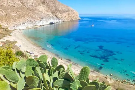 Ático con piscina privada, Appartement 5 personnes à Vera Playa - Photo 41