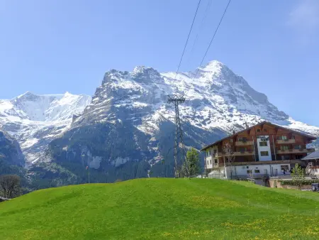 Firstsunne, Appartement 4 personnes à Grindelwald - Photo 12