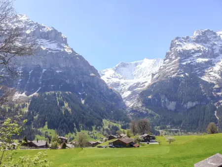 Firstsunne, Appartement 4 personnes à Grindelwald - Photo 13