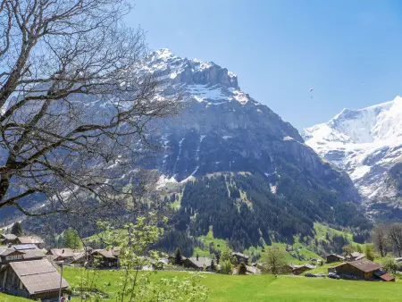Firstsunne, Appartement 4 personnes à Grindelwald - Photo 15