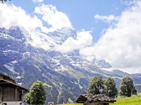 Firstsunne, Appartement 4 personnes à Grindelwald - Photo 18