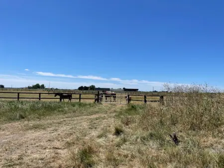 Maison climatisée, 2 gîtes, 2 chambres, 15 hectares, loisirs, animaux acceptés - Photo 17