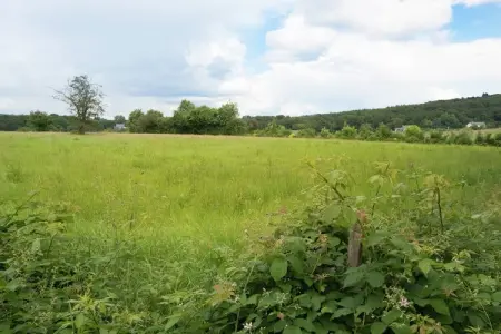 Maison Marie, Maison de maître à Spa Liège avec jardin privé - Photo 28