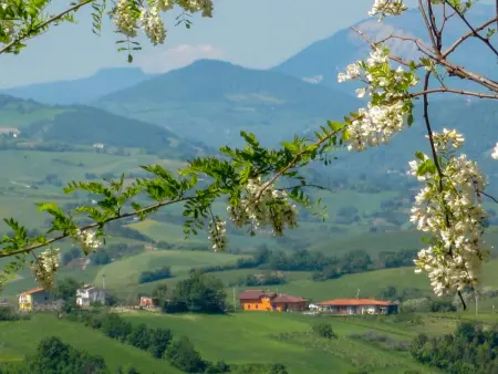 Casale Antica Pietra, Gite 12 personnes à Gemmano - Photo 53