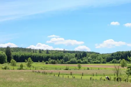 Hautva, Superbe gîte avec terrasse à Manhay - Photo 7