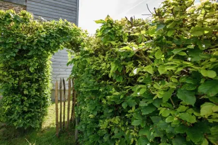 Hautva, Superbe gîte avec terrasse à Manhay - Photo 22