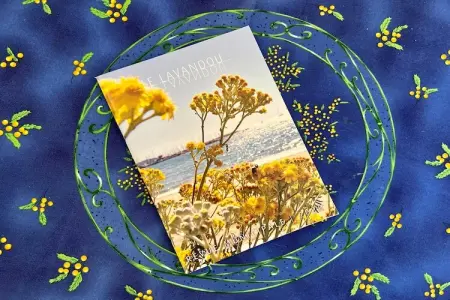 Domaine Anoutous Perry, Gite 5 personnes à Le Lavandou - Photo 20