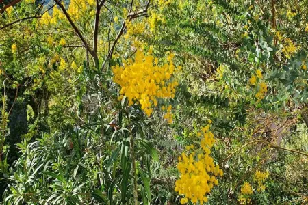 Domaine Anoutous Perry, Gite 5 personnes à Le Lavandou - Photo 23