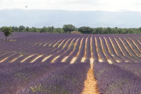 Domaine Anoutous Perry, Gite 5 personnes à Le Lavandou - Photo 29
