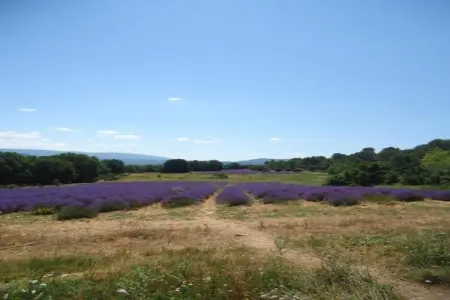 Domaine Anoutous Perry, Gite 5 personnes à Le Lavandou - Photo 30