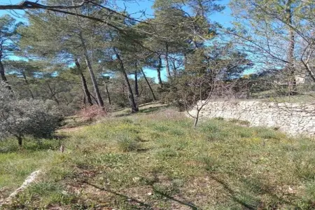 Domaine Anoutous Perry, Gite 5 personnes à Le Lavandou - Photo 39