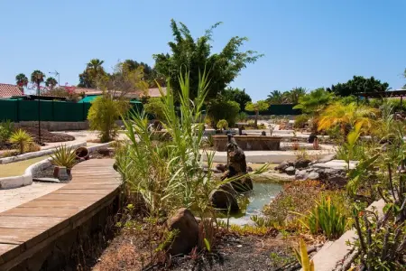 Bungalow DS50 Maspalomas - 3 Pax, Maison 3 personnes à Maspalomas - Photo 26